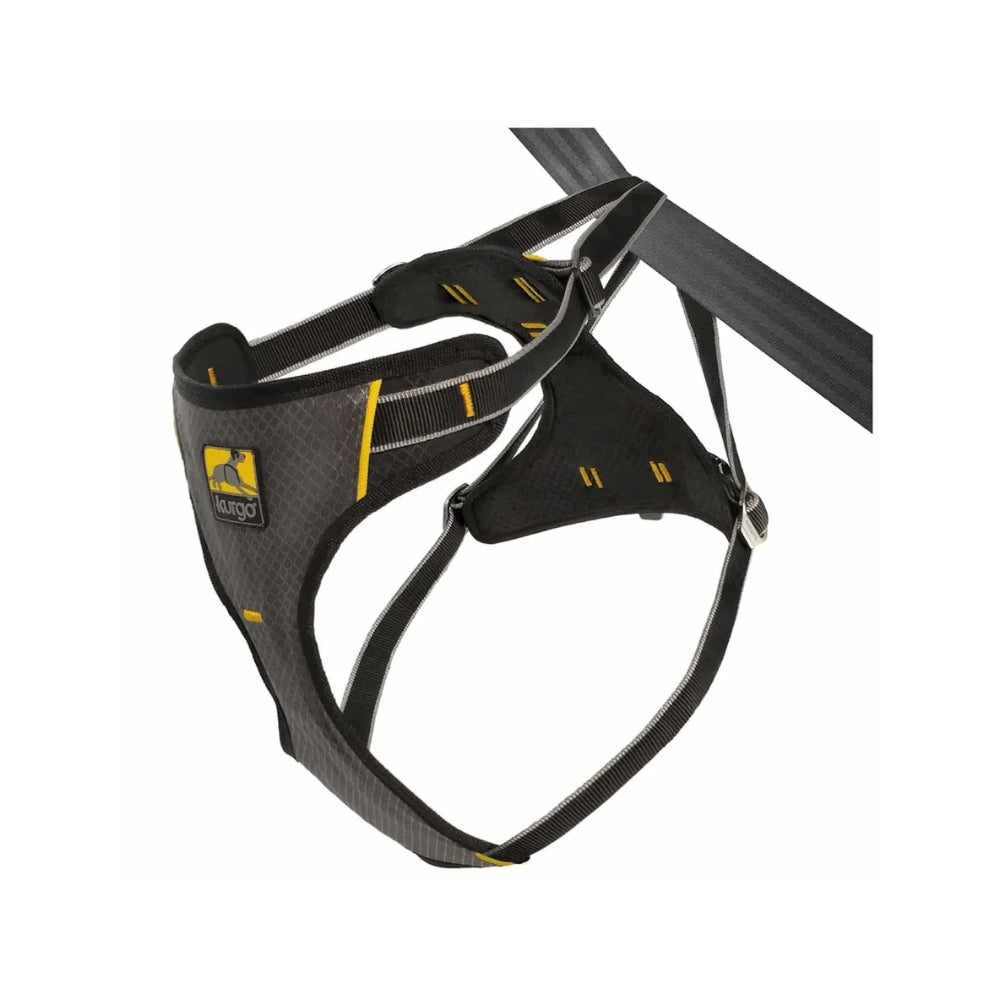 Kurgo Impact Bilsele