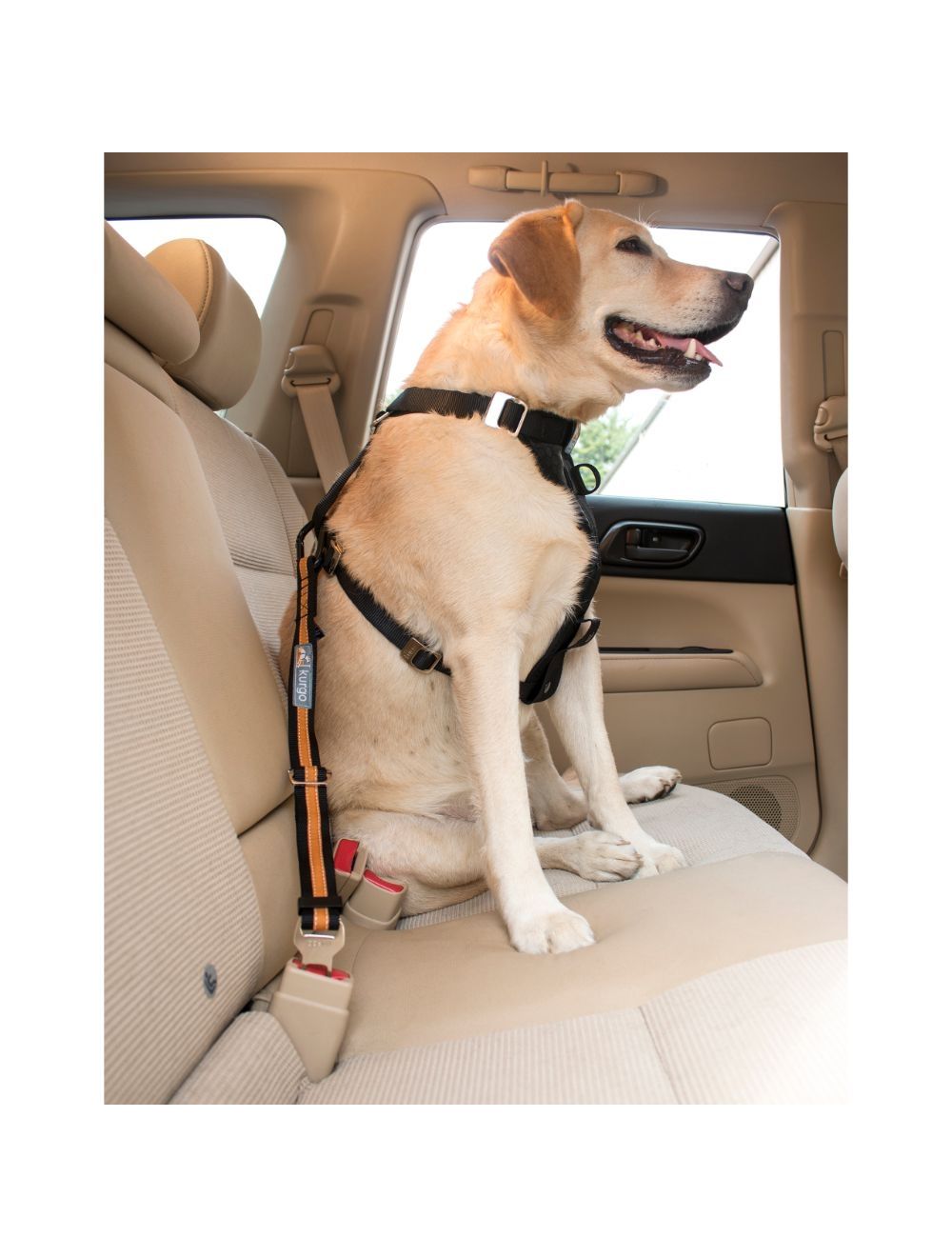 Sikkerhedssele Strop