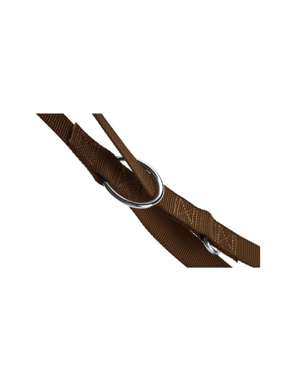 Snor Brun, Hunter 200cm